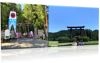 夏休み最後は新宮へ